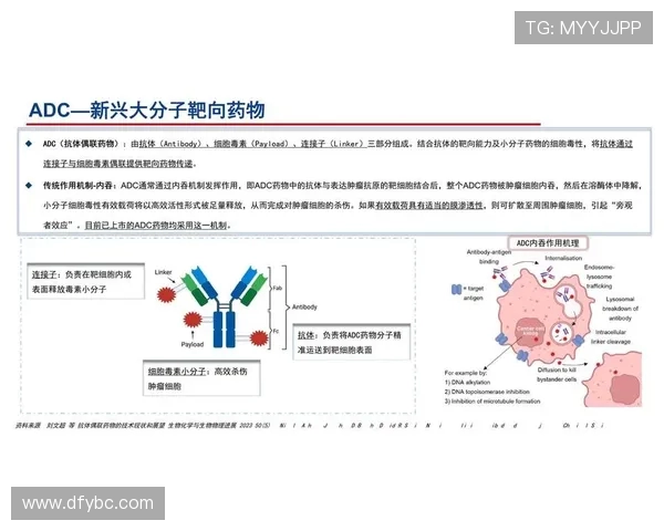 ElkADC技术驱动创新：未来智慧生活的引领者