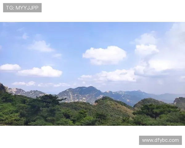 攀岩人生的深度对话：赵磊如何在高峰与挑战中找到自我