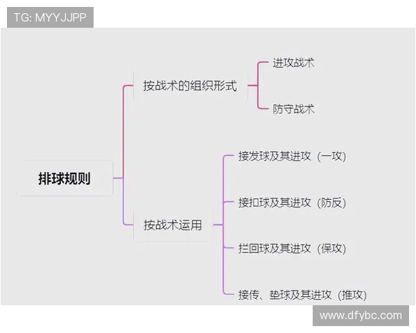 深圳与杭州排球队的较量分析与战术探讨