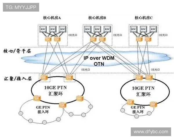 重庆足球队的运营策略与发展模式深度分析与解读
