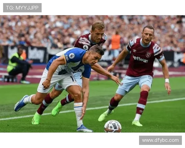 布伦特福德与诺维奇城对决前瞻分析及赛季走势预测